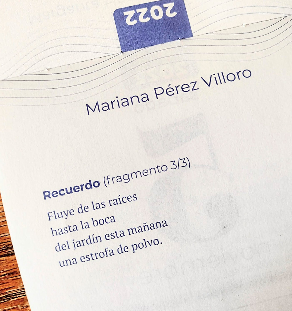 Libro-Tiempo de mujeres-Escrito 1-Mariana-Perez-Villoro