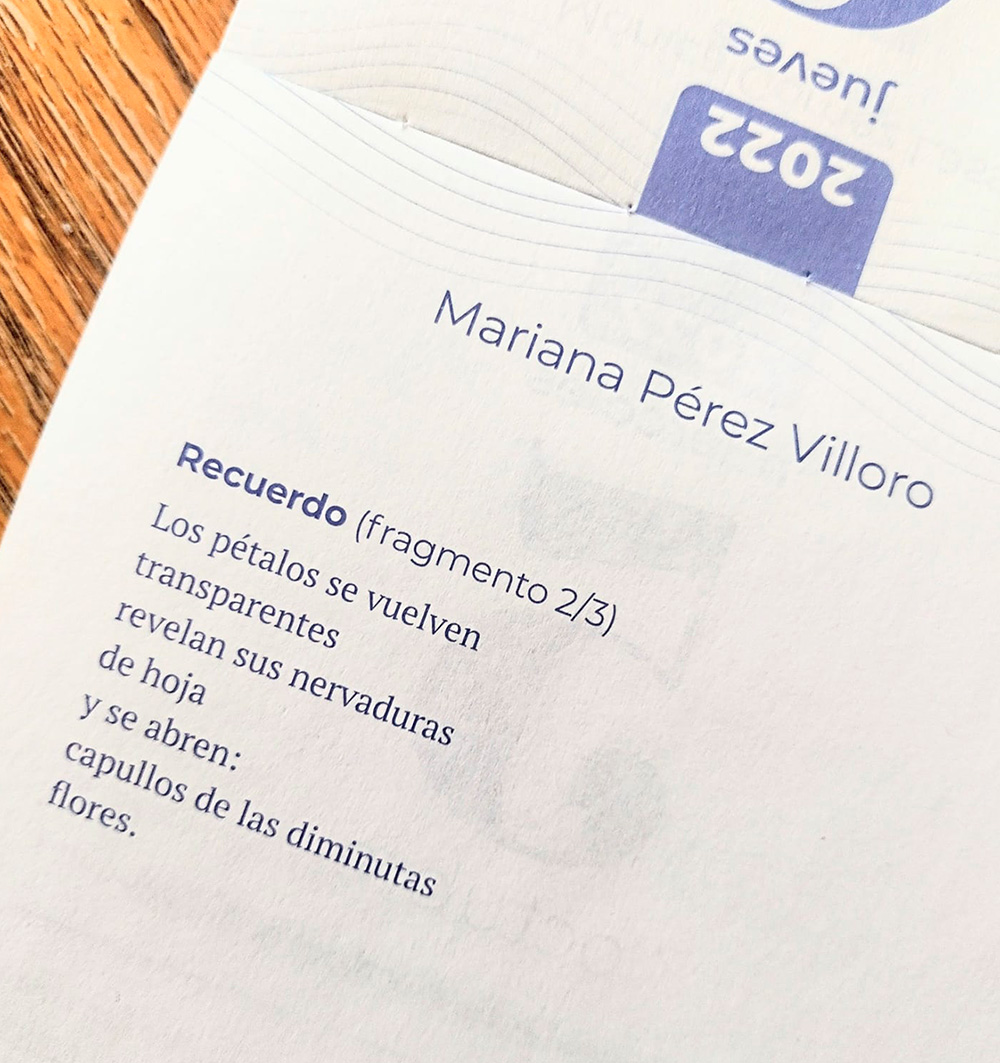 Libro-Tiempo de mujeres-Escrito 2-Mariana-Perez-Villoro
