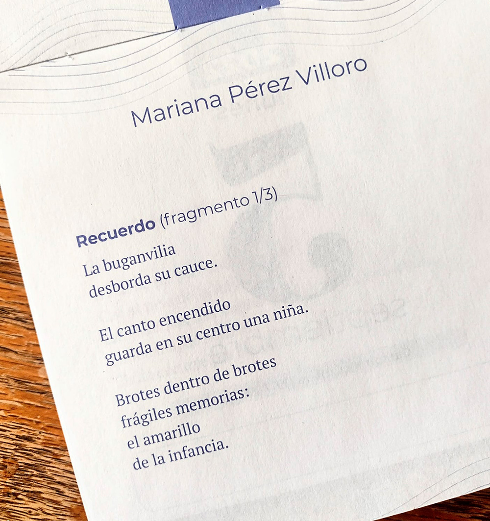 Libro-Tiempo de mujeres-Escrito 3-Mariana-Perez-Villoro